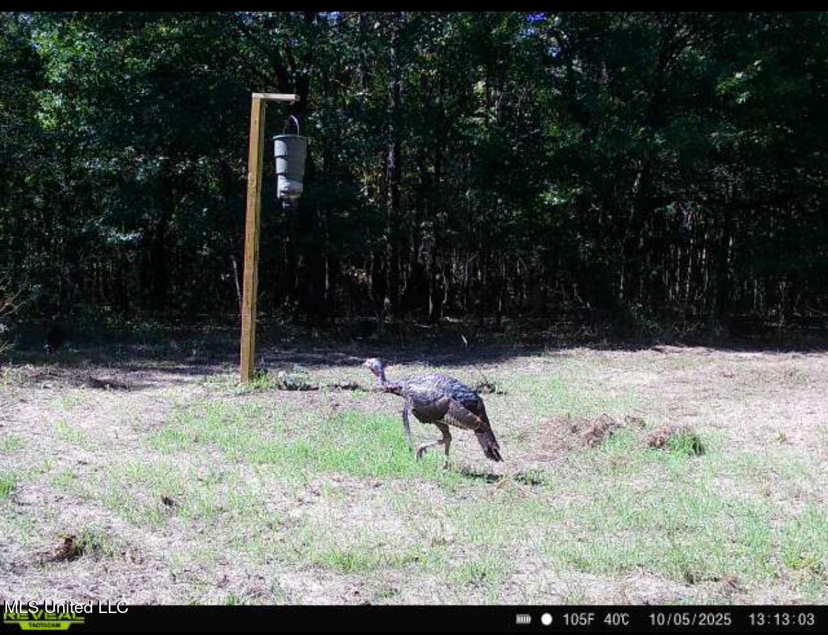 0 Weir Road Holcomb, MS 38940 - Photo 29 of 32 IMG_1788