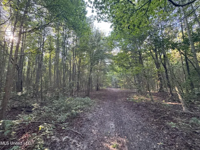 $78,000 | 0 Weir Road, Holcomb, MS 38940