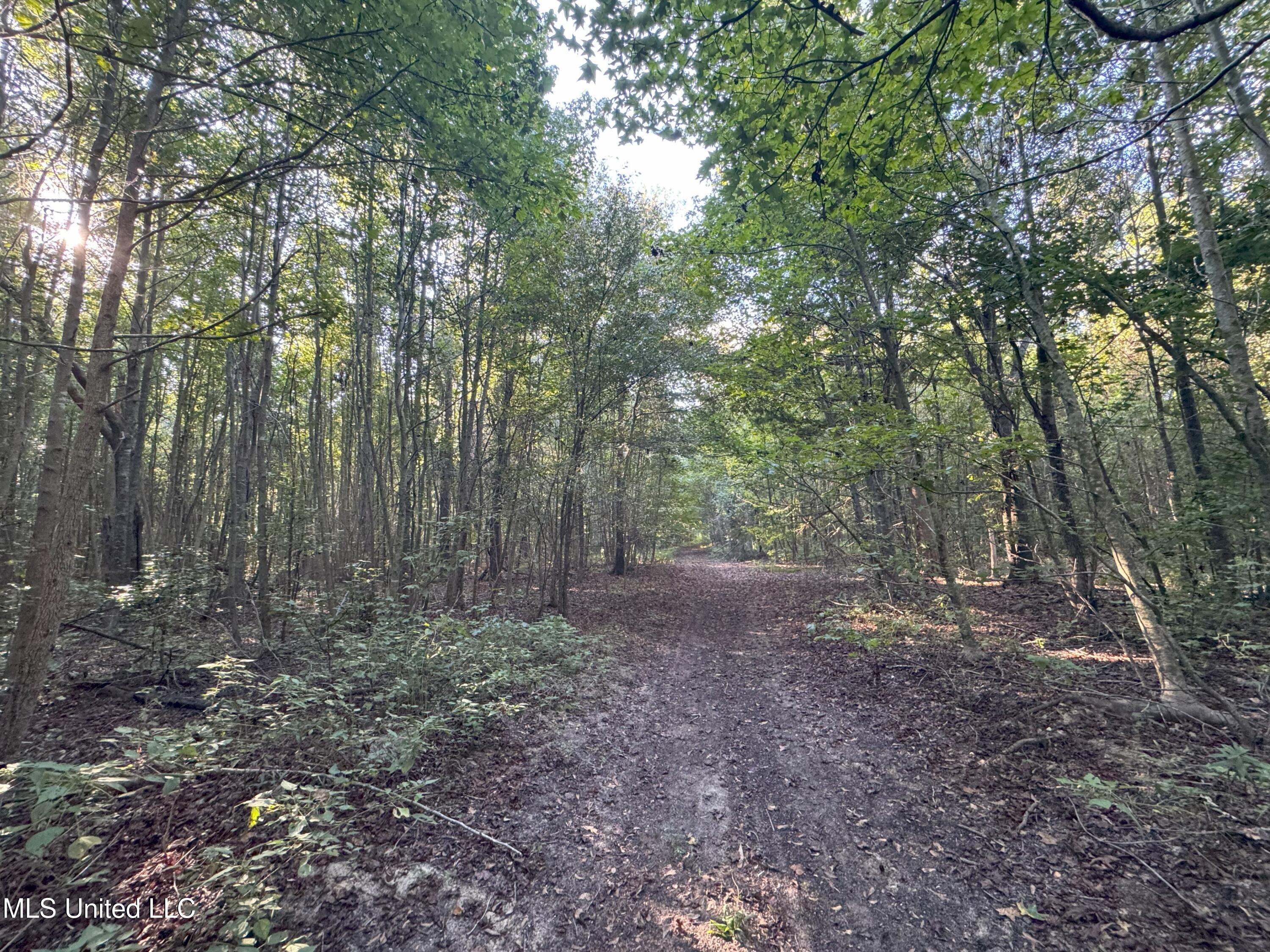 0 Weir Road Holcomb, MS 38940 - Photo 4 of 32 IMG_6314