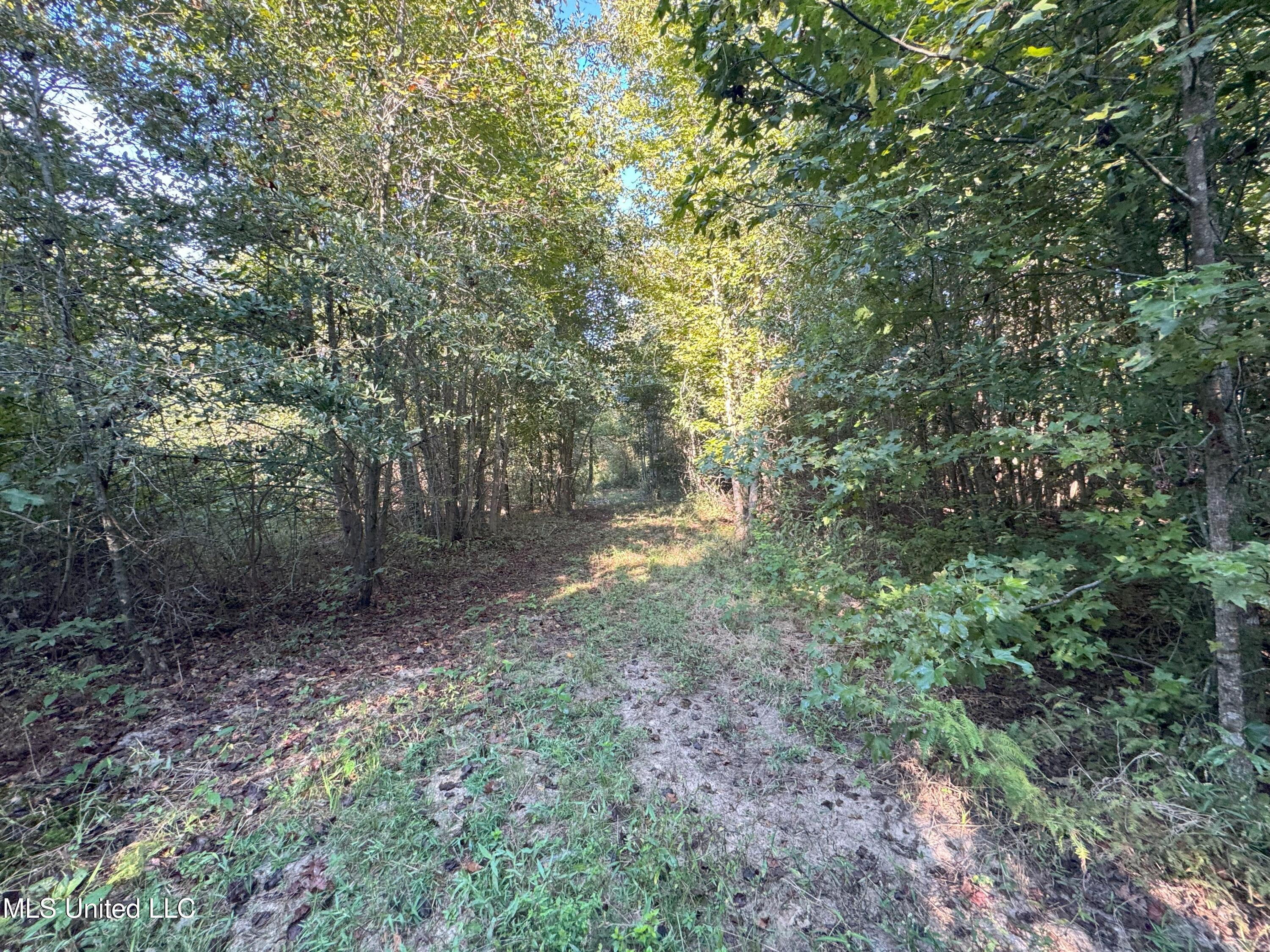 0 Weir Road Holcomb, MS 38940 - Photo 6 of 32 IMG_6310