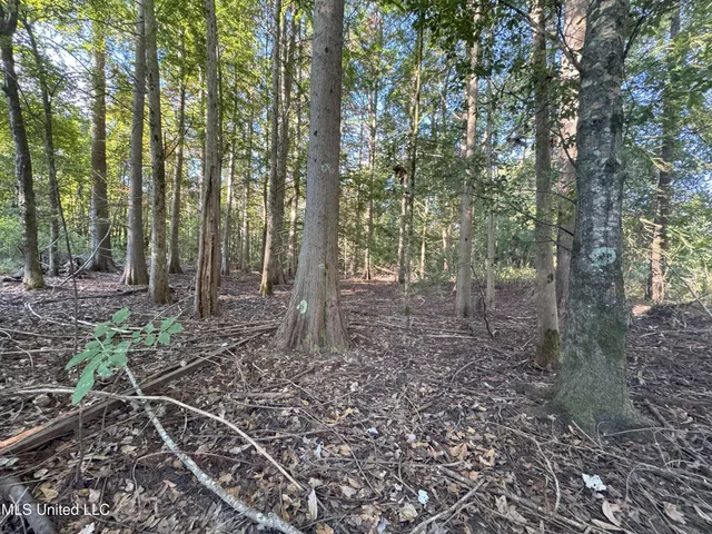 $78,000 | 0 Weir Road, Holcomb, MS 38940