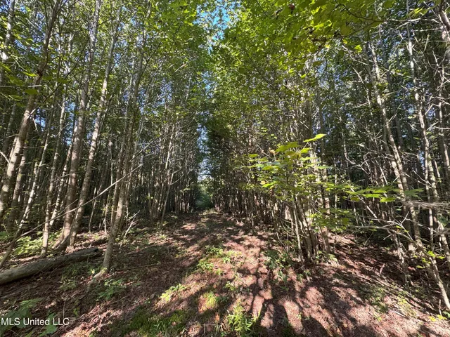 $78,000 | 0 Weir Road, Holcomb, MS 38940