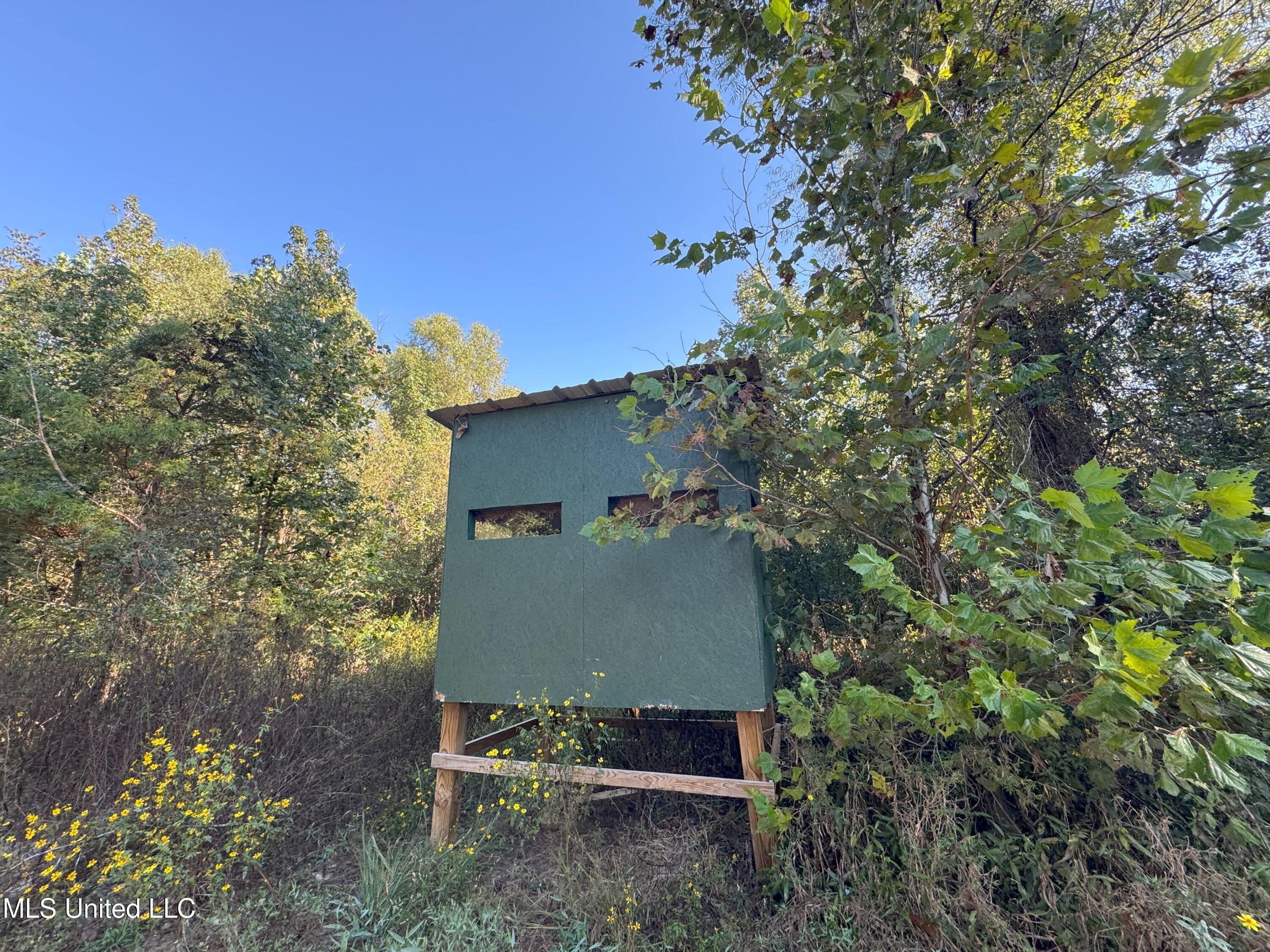 0 Weir Road Holcomb, MS 38940 - Photo 9 of 32 IMG_6327