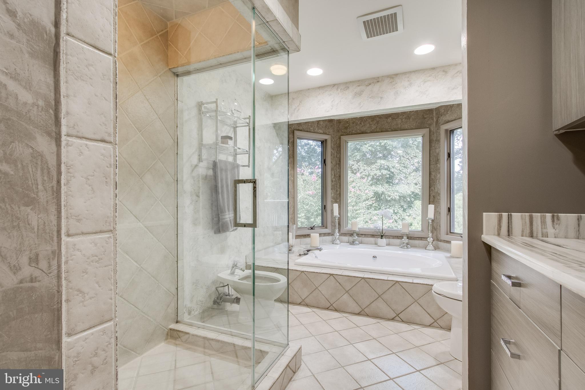 7346 Hooking Road McLean, VA 22101 - Photo 27 of 53 Bidet , toilet and jetted tub.