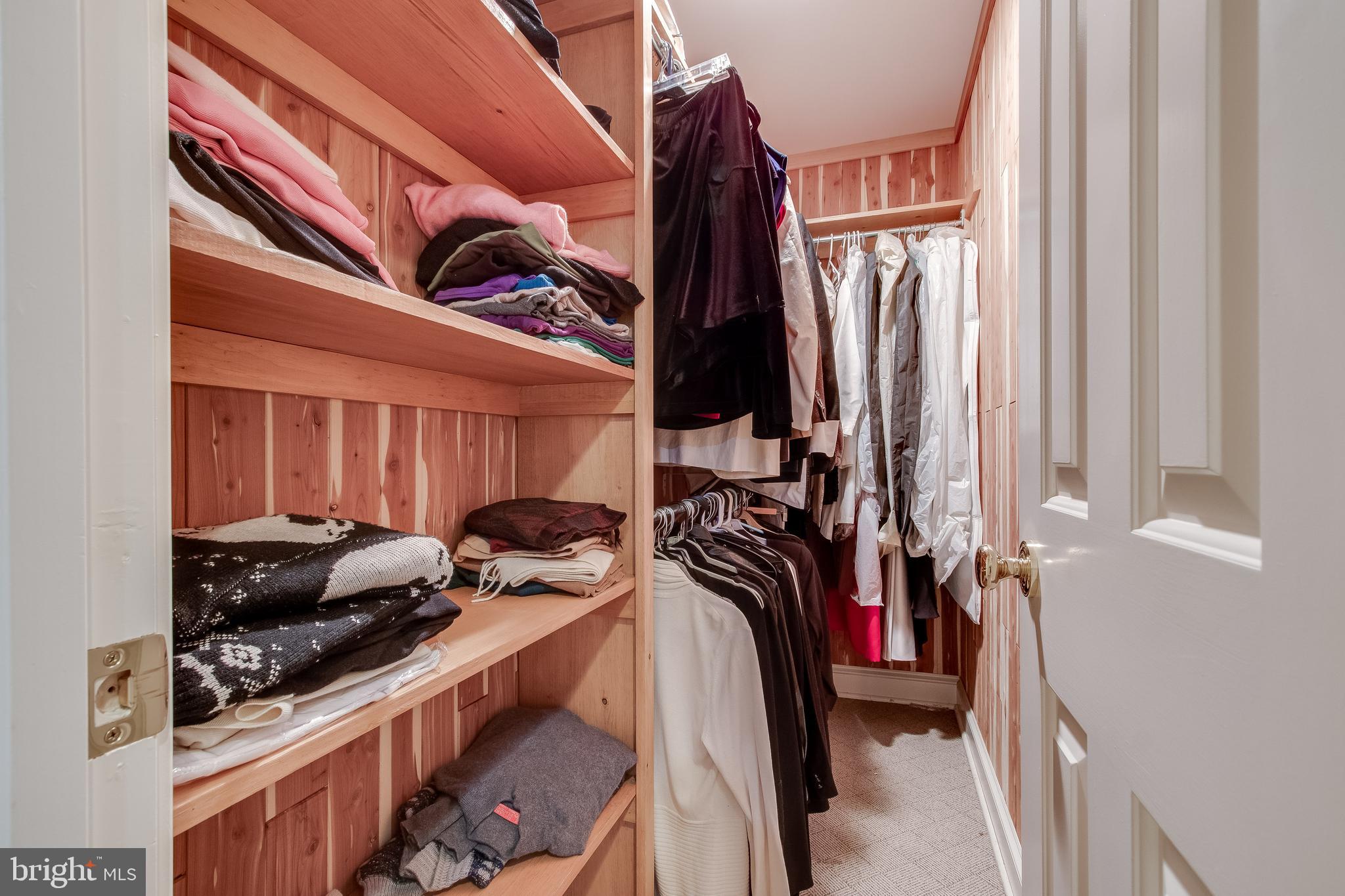 7346 Hooking Road McLean, VA 22101 - Photo 42 of 53 Large Walk In Cedar closet at end of bsmnt hall.