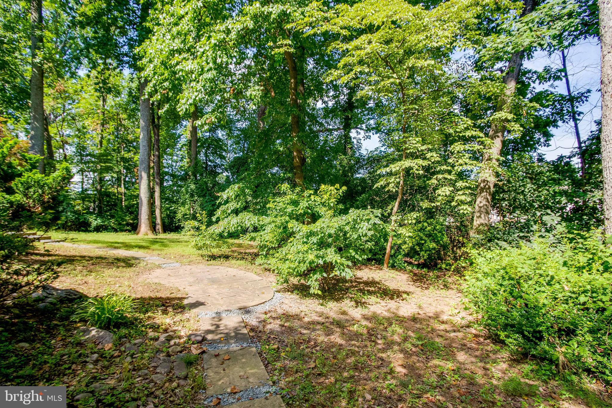 7346 Hooking Road McLean, VA 22101 - Photo 49 of 53 continuation of path on landscaped nature stroll