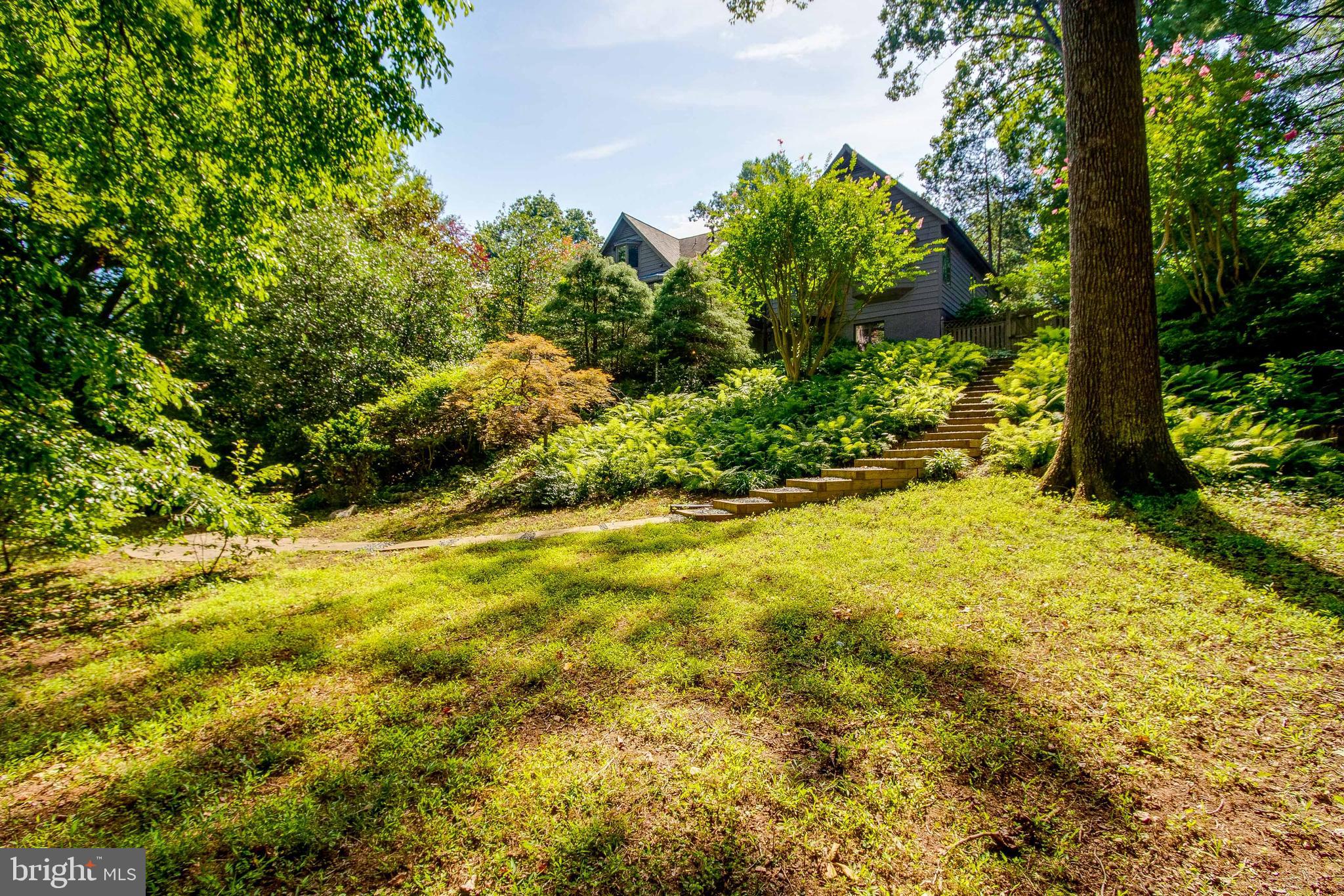 7346 Hooking Road McLean, VA 22101 - Photo 50 of 53 more beautiful landscaping