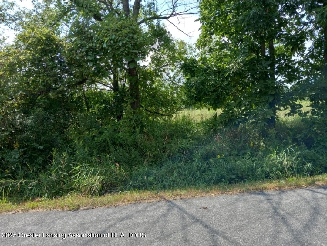Parcel A Cooper Road Leslie, MI 49251 - Photo 12 of 14 VL Cooper Rd