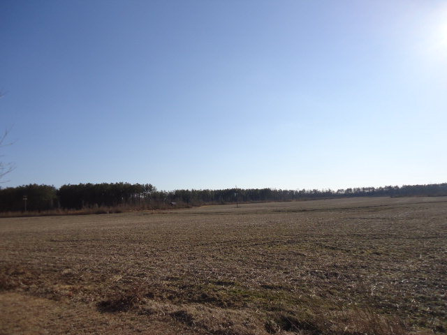 1924 Nesbit Road Manning, SC 29102 - Photo 1 of 1
