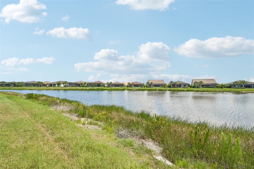 13356 Verandi Street Venice, FL 34293 - Photo 55 of 65
