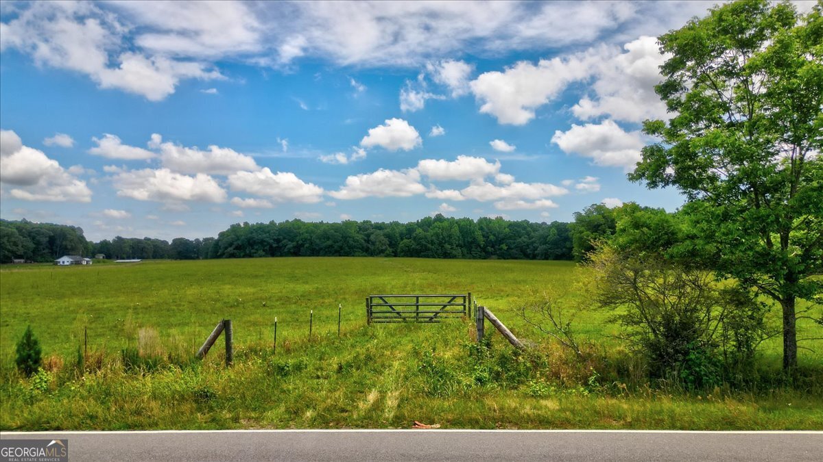 48.04-acres Caldwell Road Zebulon, GA 30295 - Photo 2 of 23 a view of an ocean and beach
