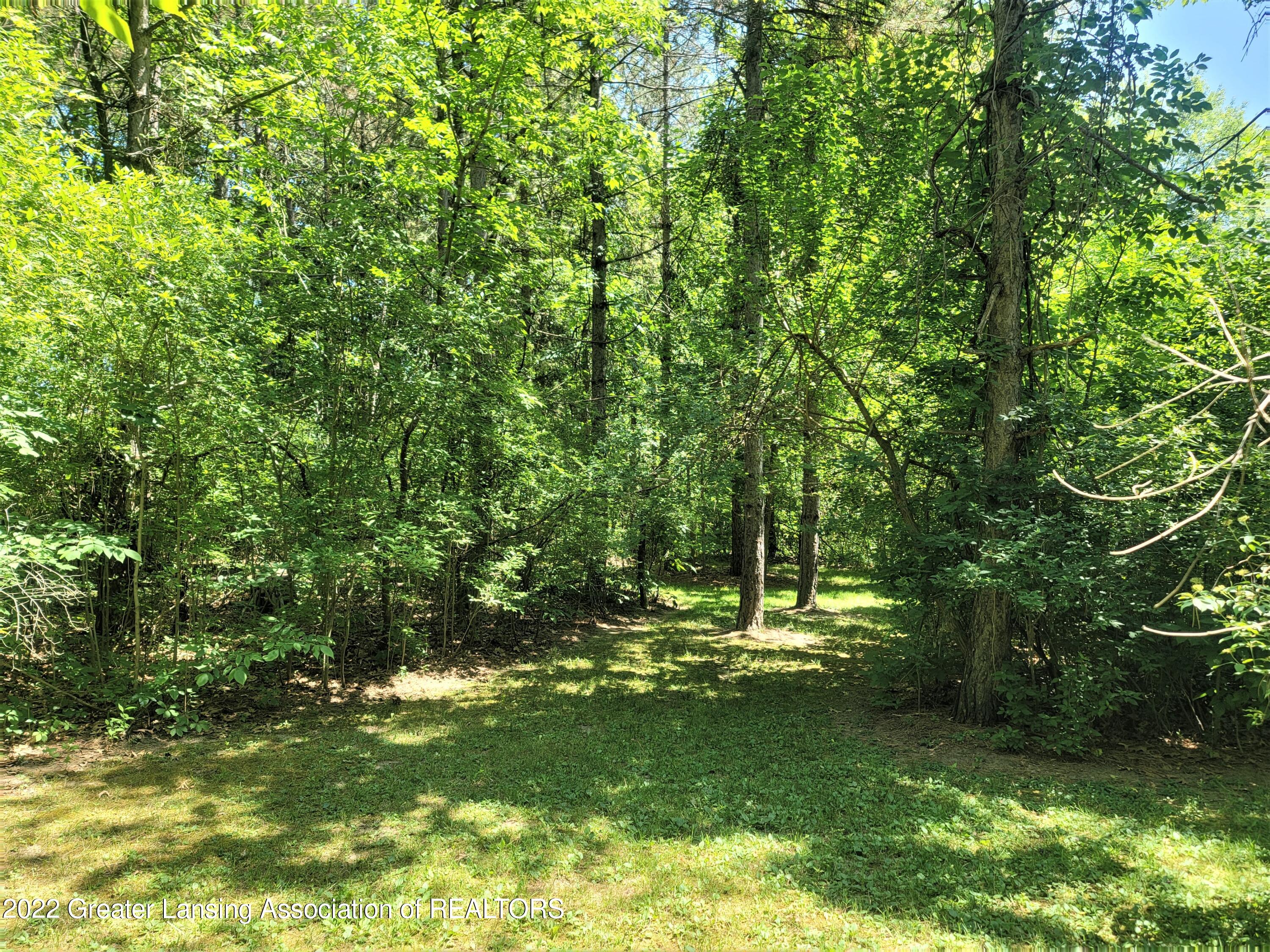 667 Lansing Road Morrice, MI 48857 - Photo 11 of 28 667 E Lansing Rd back yard
