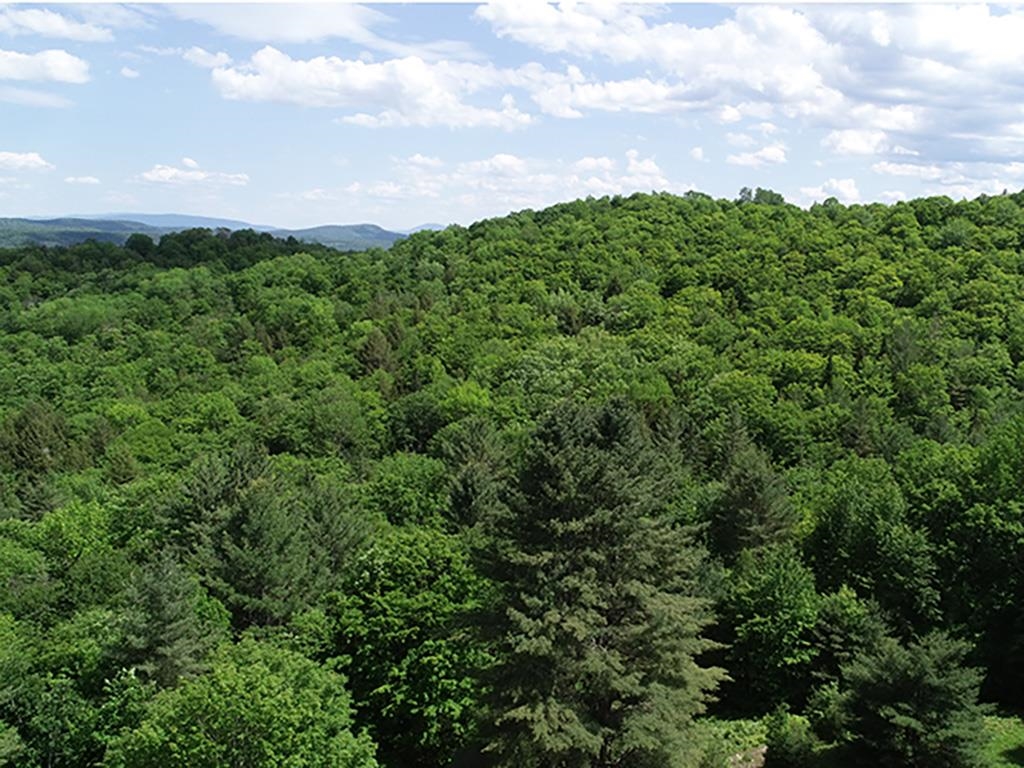 134 Ben Dexter Road Topsham, VT 05086 - Photo 3 of 15