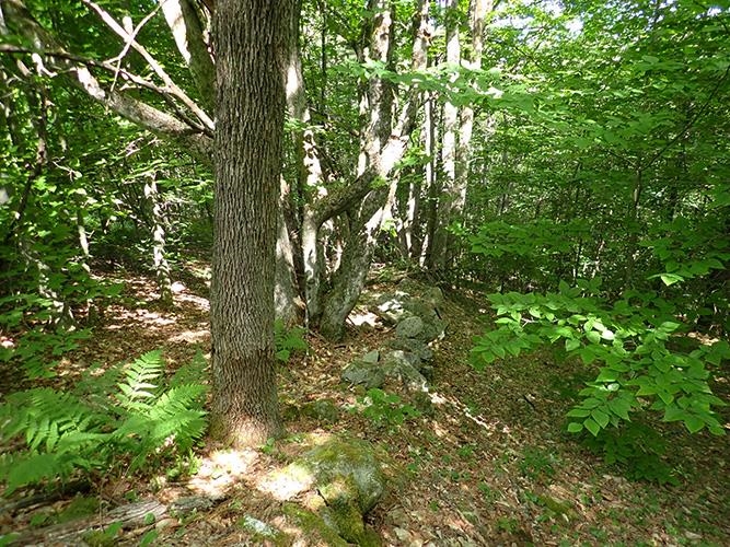 134 Ben Dexter Road Topsham, VT 05086 - Photo 4 of 15