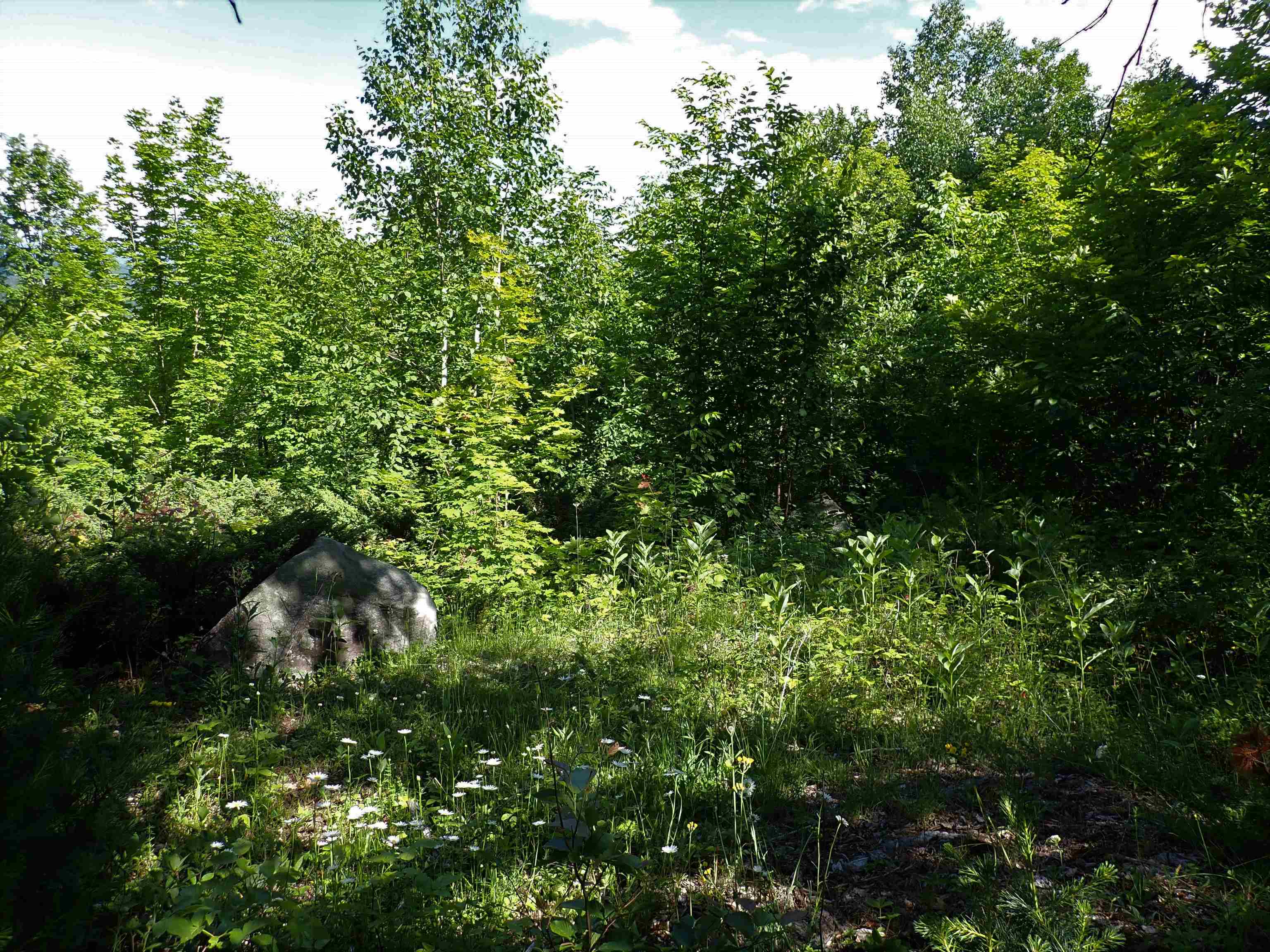 134 Ben Dexter Road Topsham, VT 05086 - Photo 8 of 15