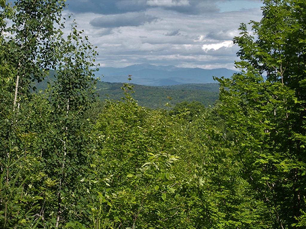 134 Ben Dexter Road Topsham, VT 05086 - Photo 9 of 15