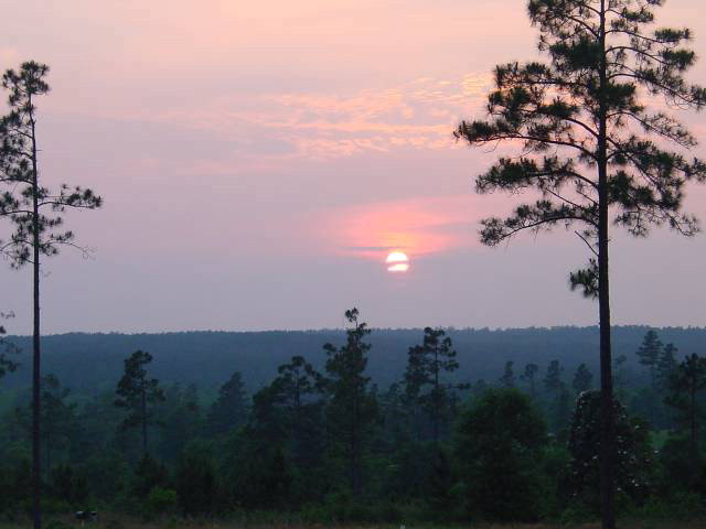 0 Cedar Meadows Road Aiken, SC 29803 - Photo 1 of 1 a view of a city