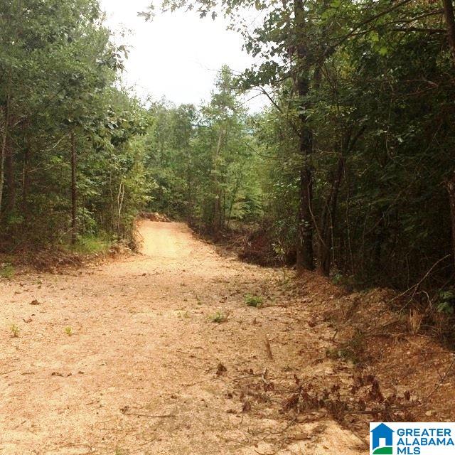 22-acres Clairmont Springs Road, Unit 22 ACRES Lineville, AL 36266 - Photo 13 of 16