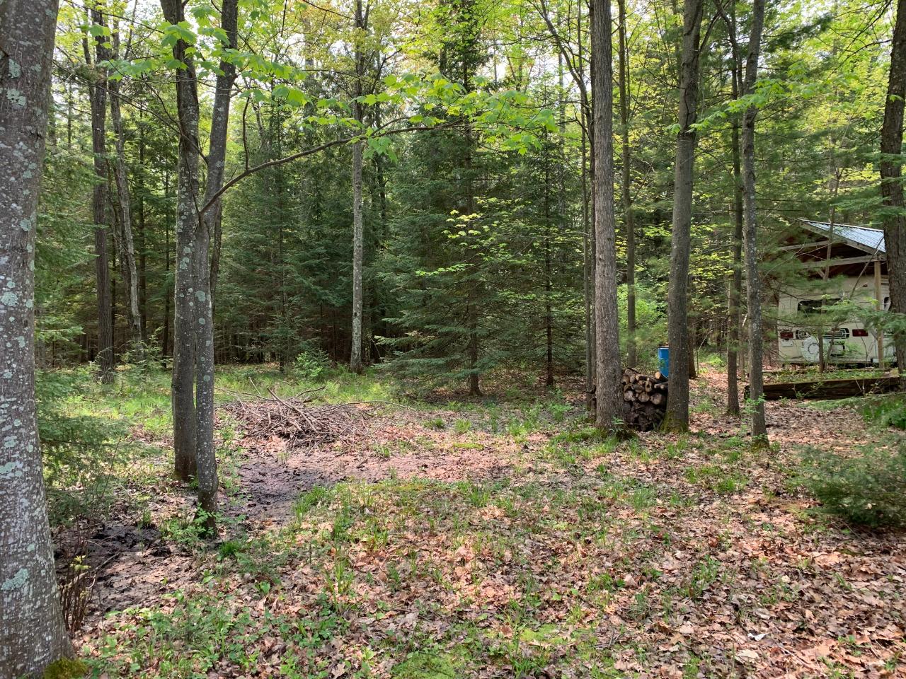 N9894 Birch Road Tomahawk, WI 54487 - Photo 9 of 20 Gallery Image 9