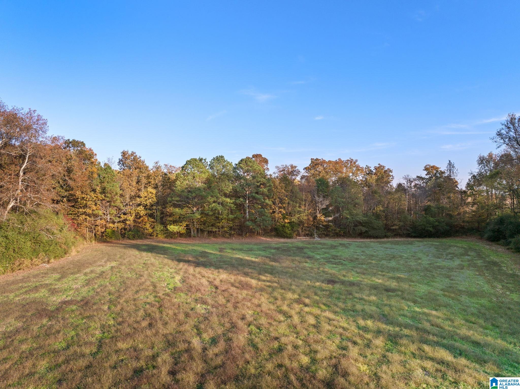 2986 Eva Road Eva, AL 35621 - Photo 23 of 32