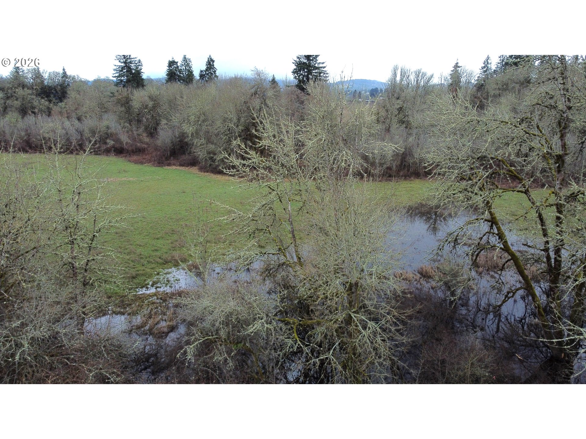 1683 South Quartz Street Cornelius, OR 97113 - Photo 25 of 32