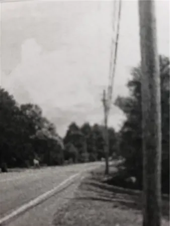 $149,900 | 3574 Ridge Road, Williamson, NY 14589