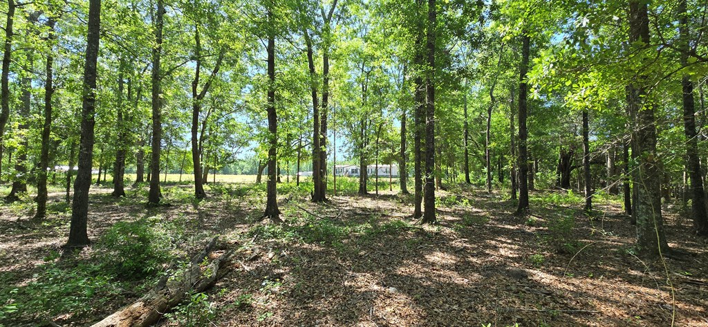 800 Grady Garner Road Slocomb, AL 36375 - Photo 3 of 49