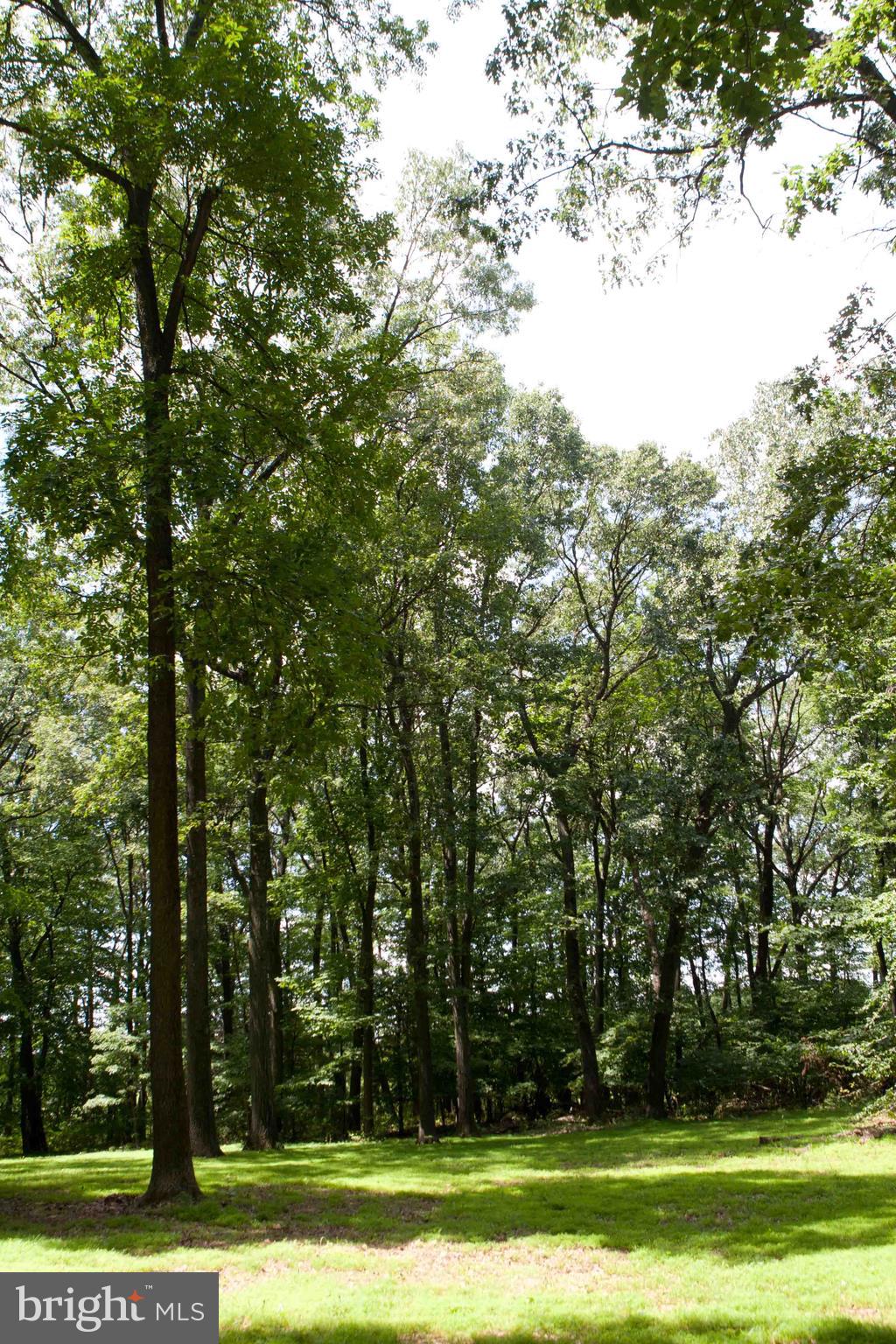279 County Line Road Riegelsville, PA 18077 - Photo 19 of 24 a view of a park