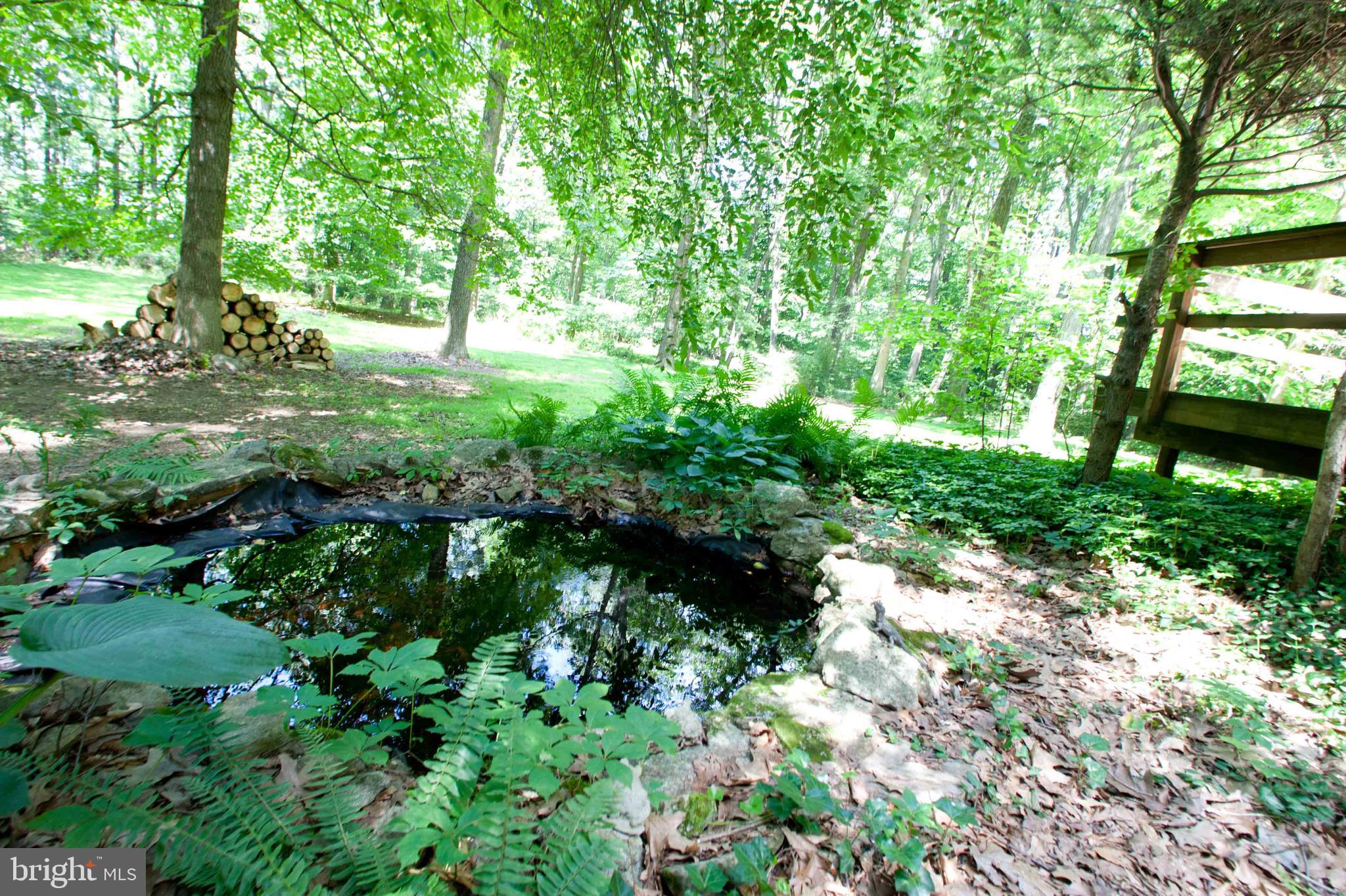 279 County Line Road Riegelsville, PA 18077 - Photo 20 of 24 a view of a garden with plants and large trees
