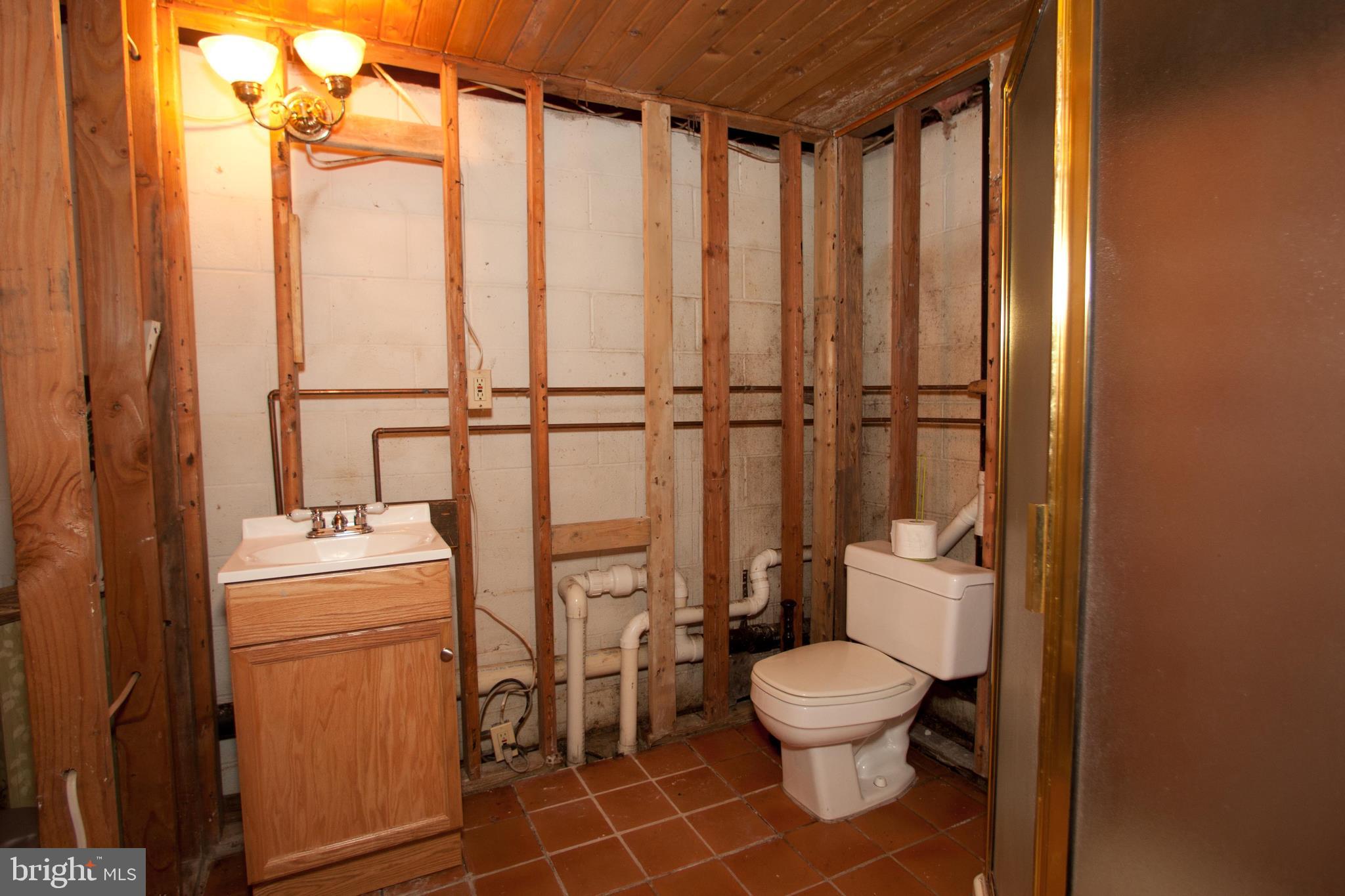 279 County Line Road Riegelsville, PA 18077 - Photo 23 of 24 a bathroom with a toilet a sink and a shower