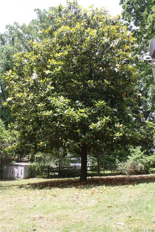 85 Raleigh Road Asheville, NC 28803 - Photo 12 of 13 Gallery Image 12