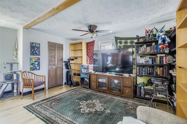 a living room with furniture a rug and a bookshelf