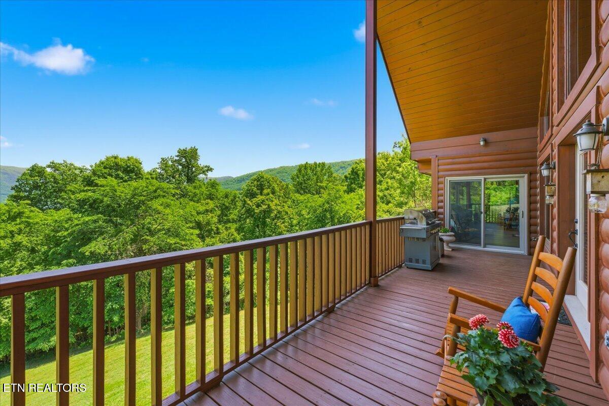 2732 Cayanne Road Cosby, TN 37722 - Photo 27 of 55 Livingroom Balcony