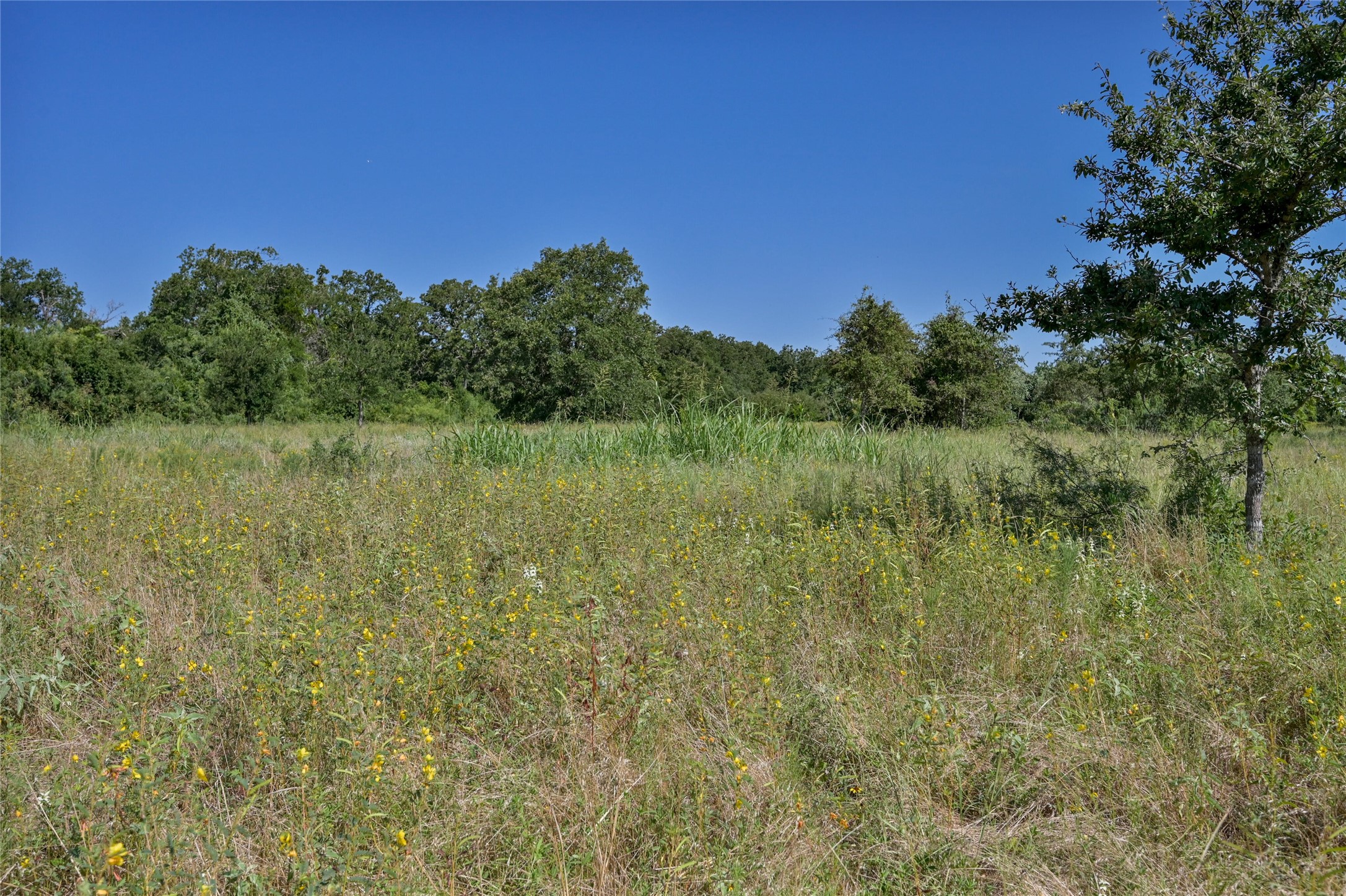 681 County Road 474 Elgin, TX 78621 - Photo 31 of 37 a view of a field of grass and trees