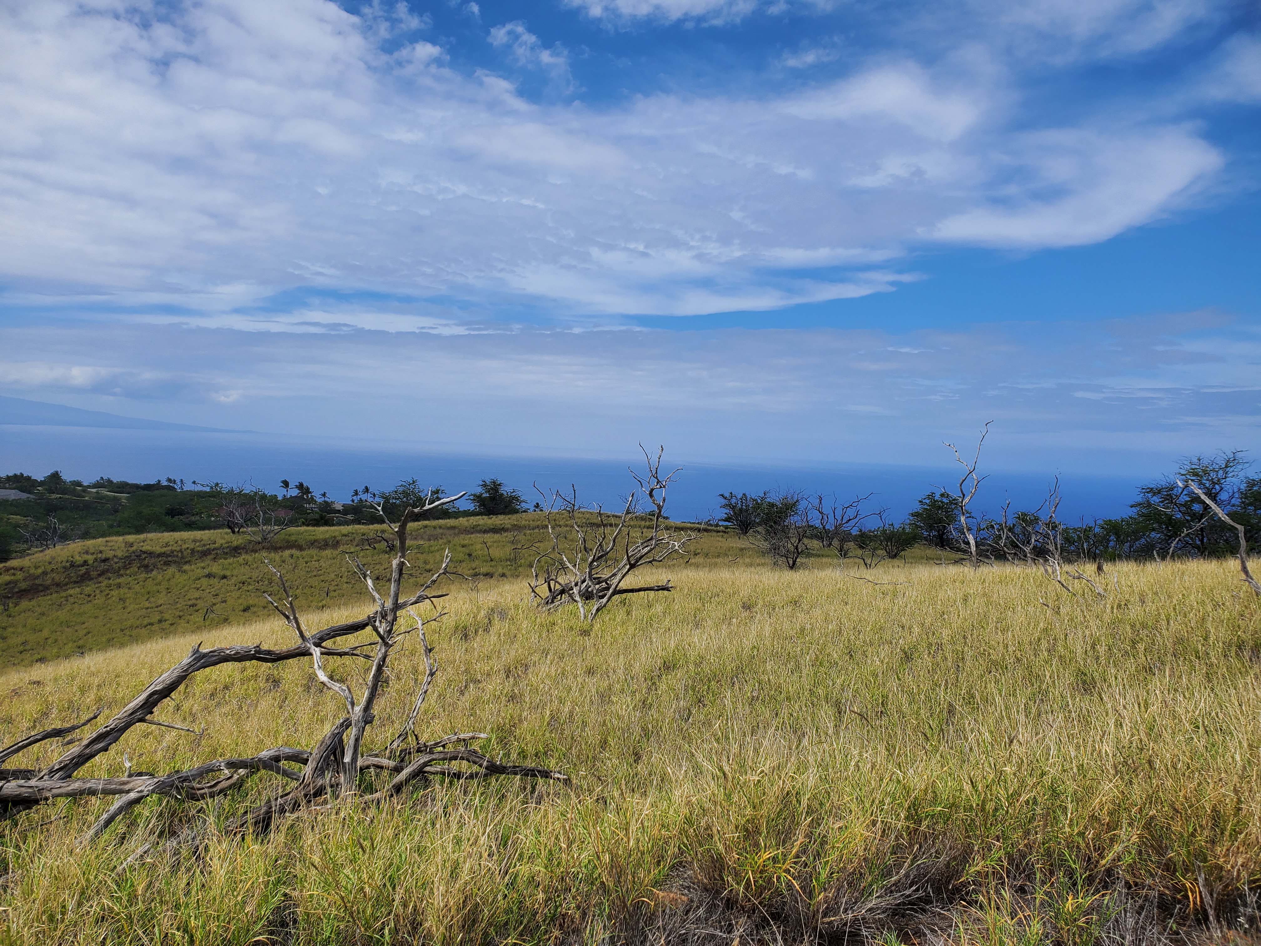 a view of an ocean and beach