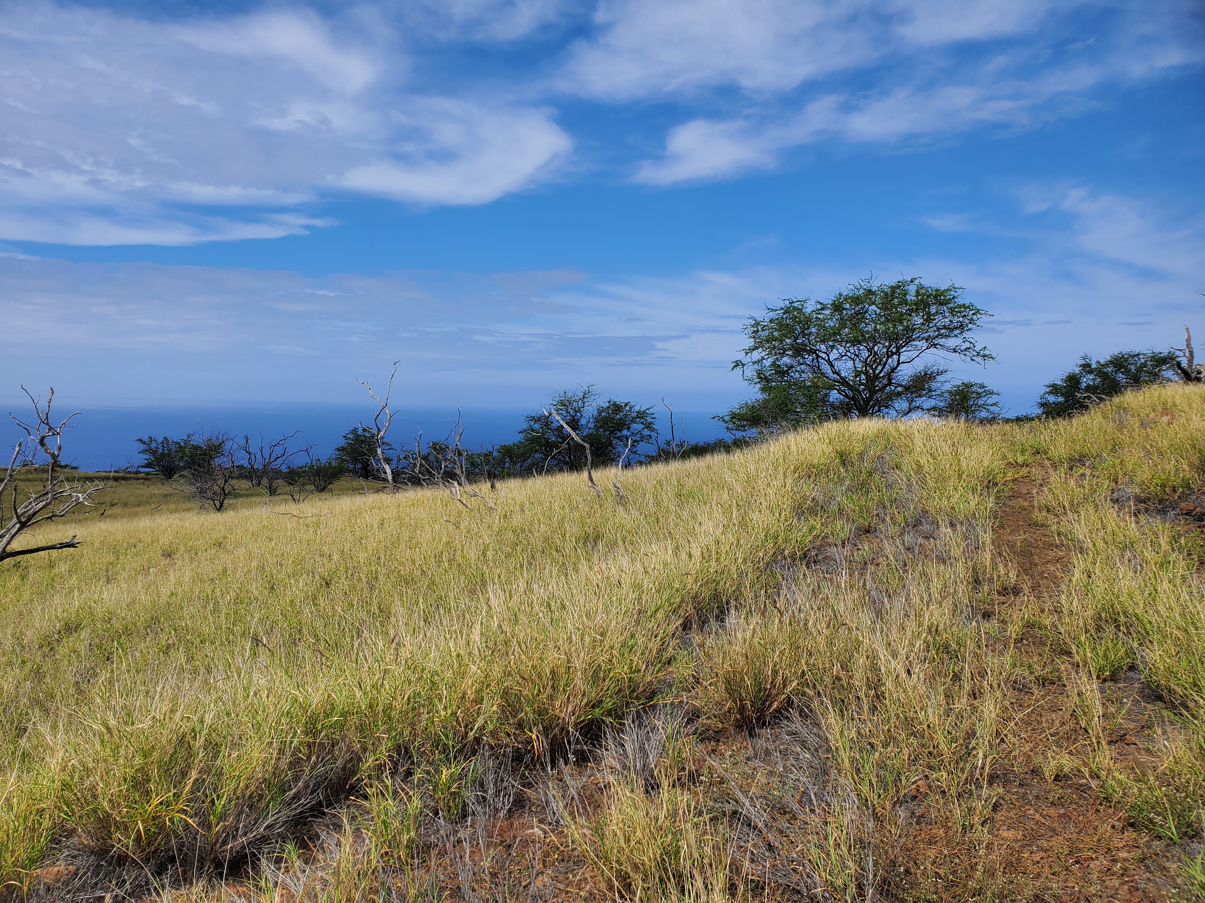 236 Kaala Road Kamuela, HI 96743 - Photo 3 of 6 a view of an ocean and sunset