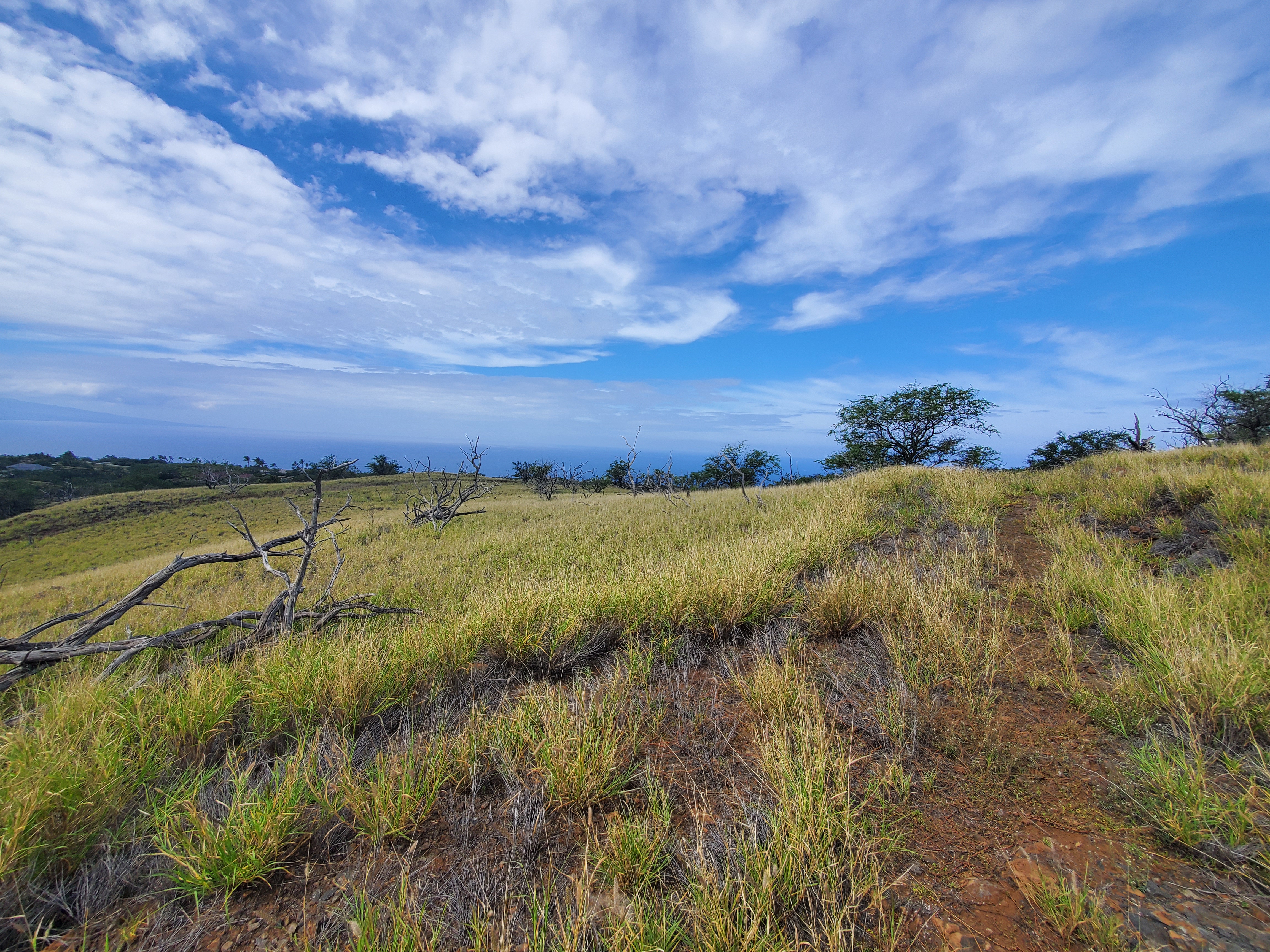 236 Kaala Road Kamuela, HI 96743 - Photo 5 of 6 a view of lake and mountain