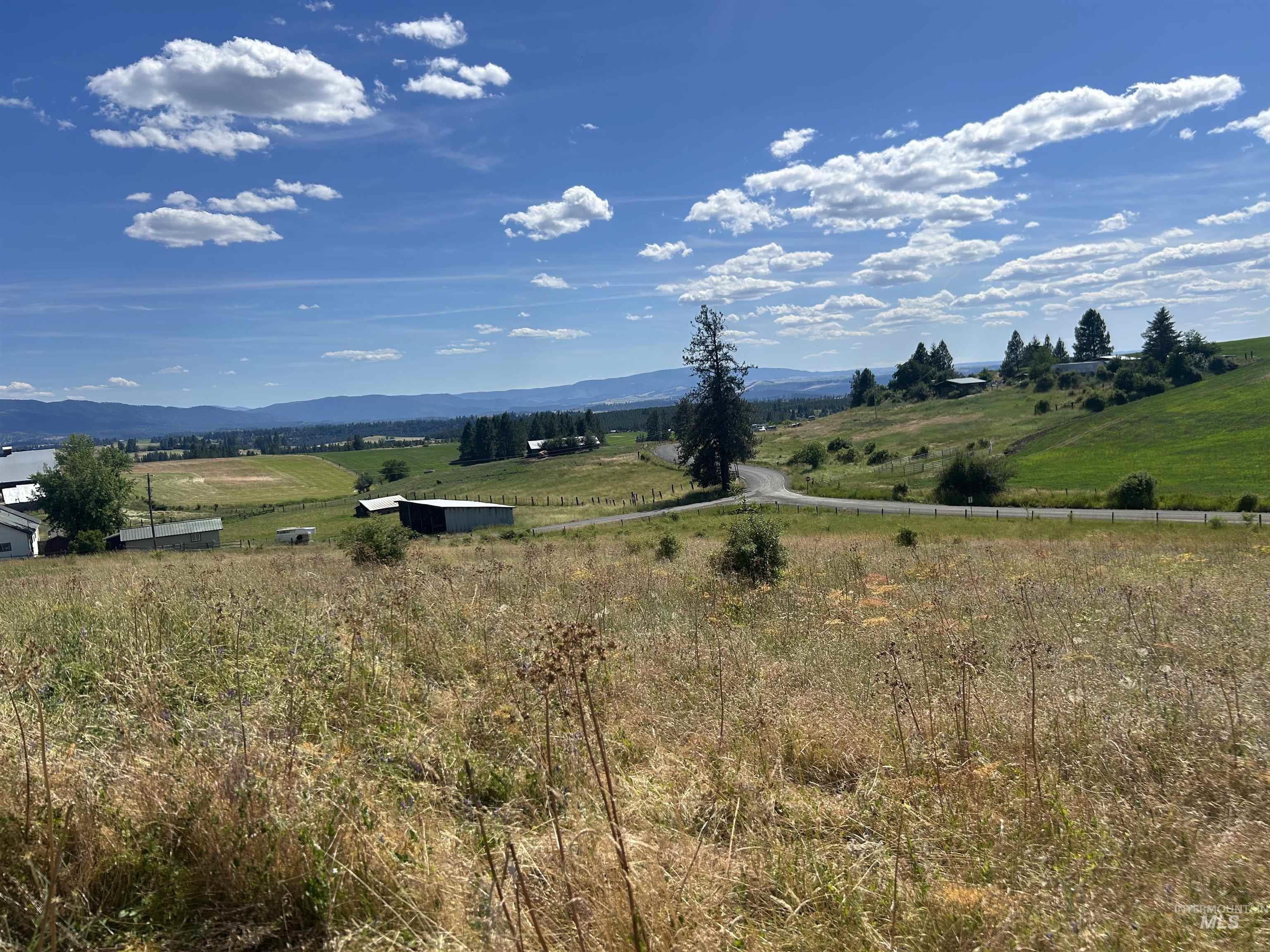 Tbd Lot 1 Tbd Road Kooskia, ID 83539 - Photo 9 of 13