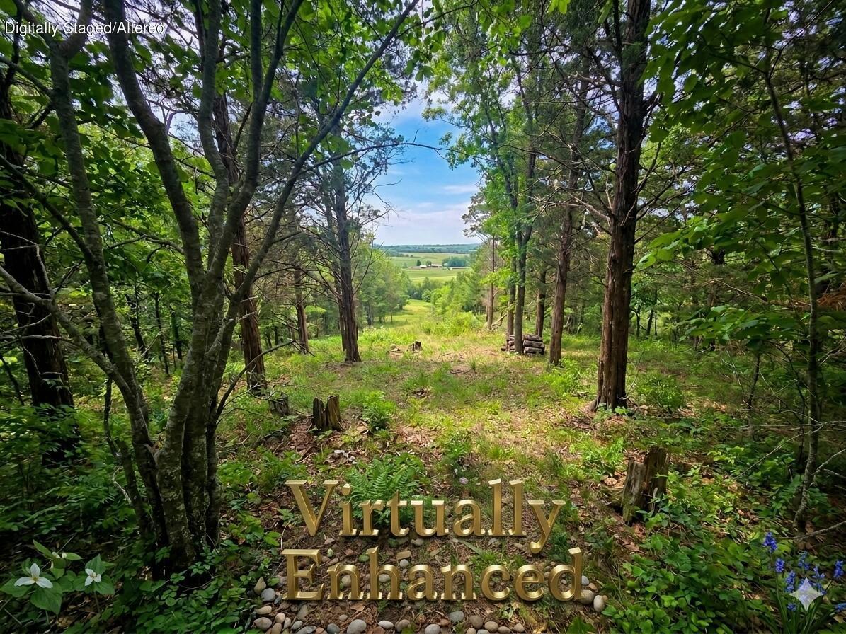 178 Black Forest Lane Reeds Spring, MO 65737 - Photo 3 of 15 178 Virtually Enhanced