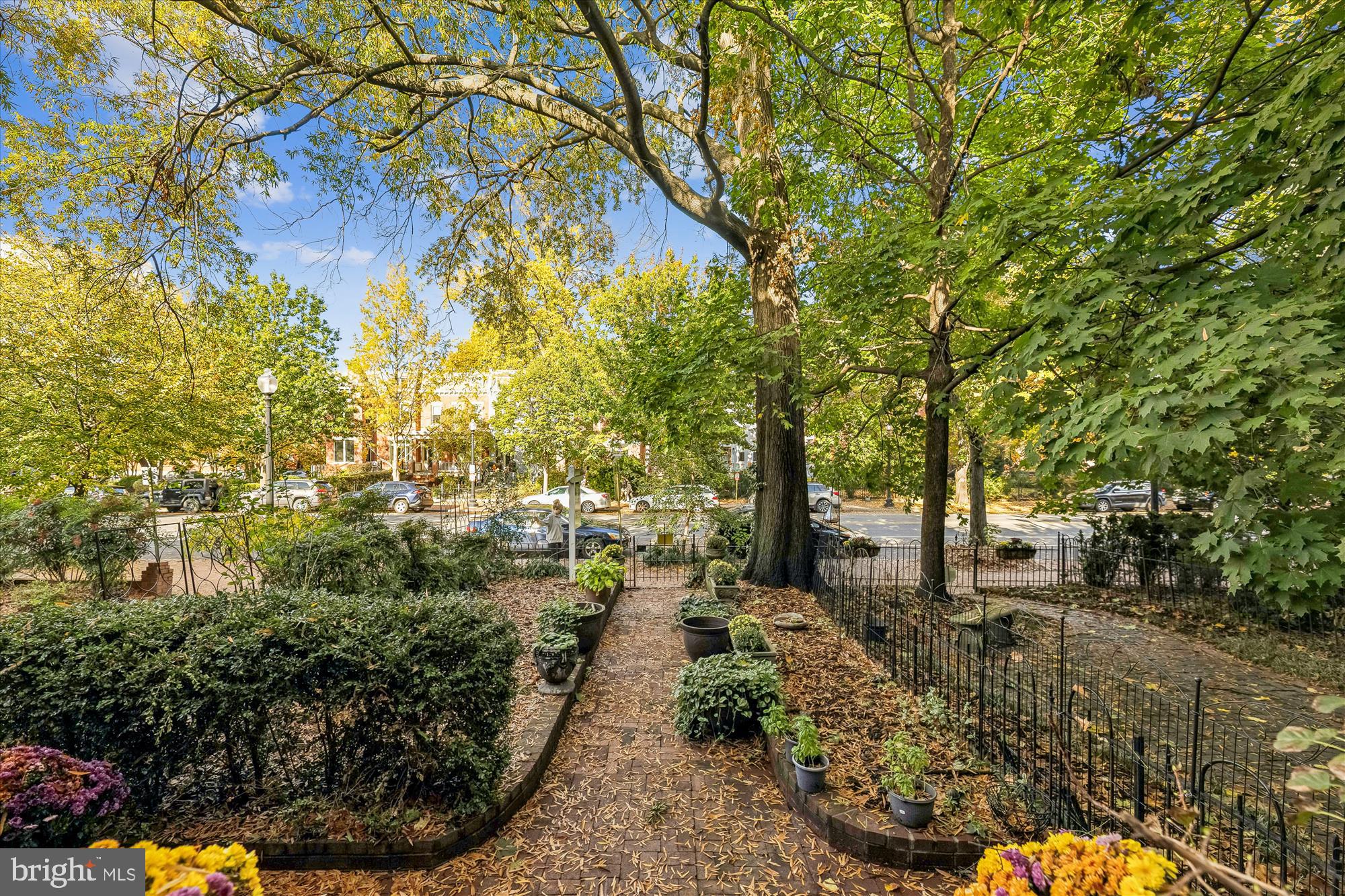 811 Massachusetts Avenue Northeast Washington, DC 20002 - Photo 2 of 56 Front yard