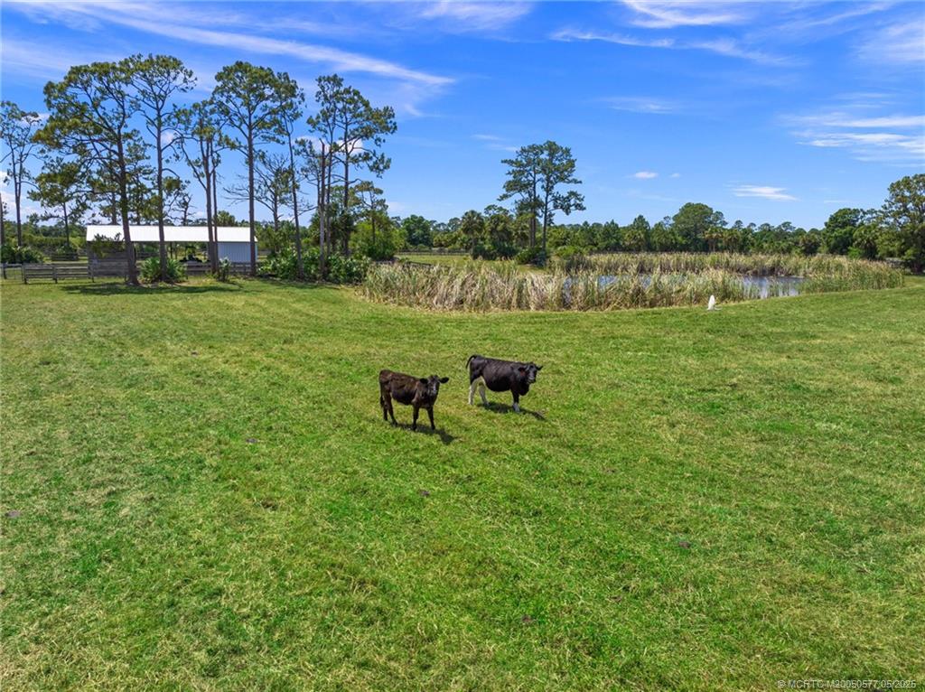 2393 Southwest Trailside Path Stuart, FL 34997 - Photo 40 of 48