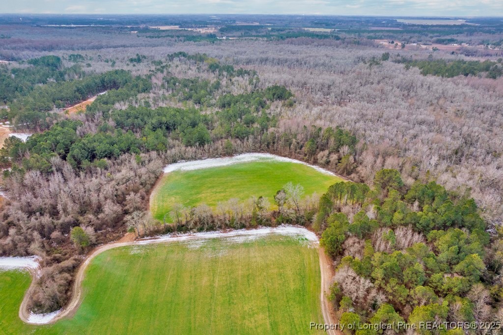 0 Hunting Ridge Road Red Springs, NC 28377 - Photo 13 of 21 Gallery Image 13