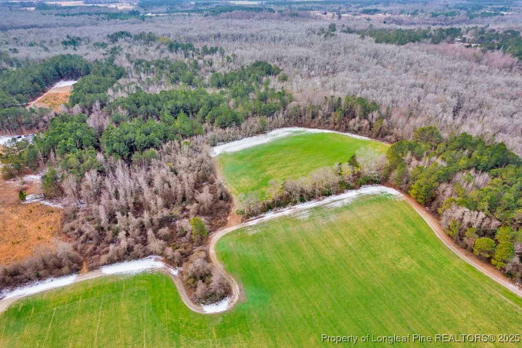 0 Hunting Ridge Road Red Springs, NC 28377 - Photo 14 of 21 Gallery Image 14