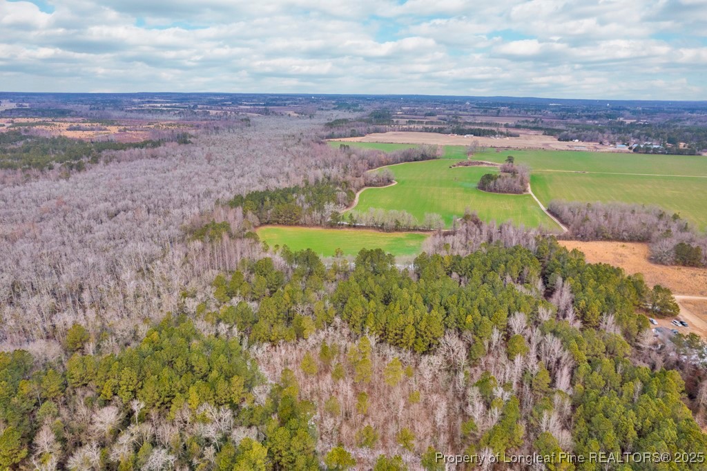 0 Hunting Ridge Road Red Springs, NC 28377 - Photo 17 of 21 Gallery Image 17