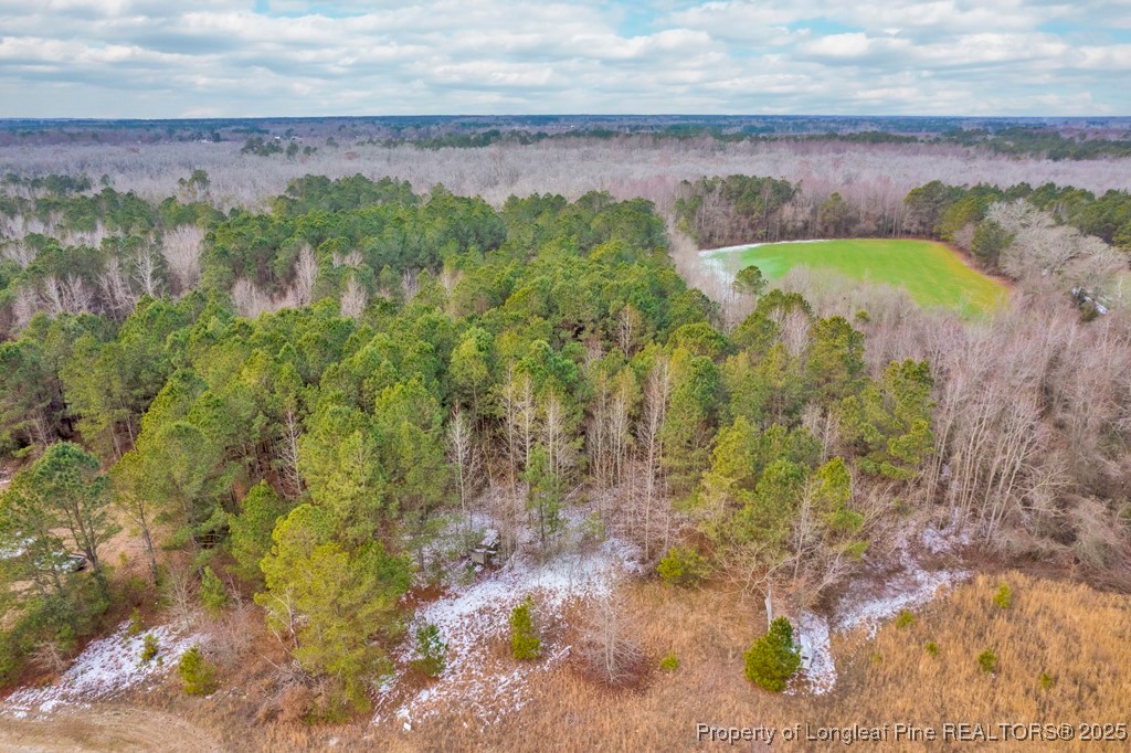 0 Hunting Ridge Road Red Springs, NC 28377 - Photo 3 of 21 Gallery Image 3