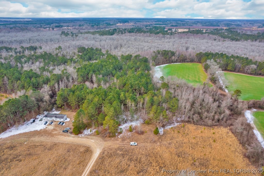0 Hunting Ridge Road Red Springs, NC 28377 - Photo 4 of 21 Gallery Image 4