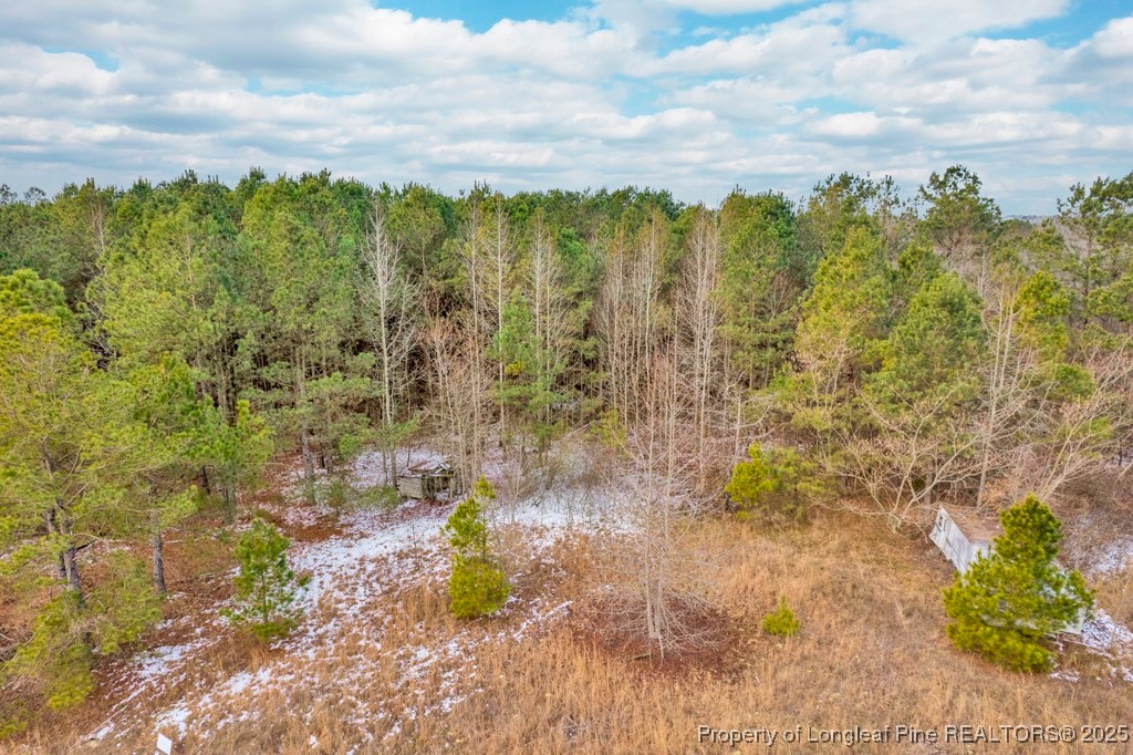 0 Hunting Ridge Road Red Springs, NC 28377 - Photo 5 of 21 Gallery Image 5