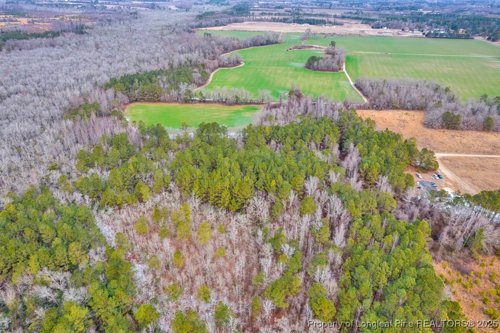 0 Hunting Ridge Road Red Springs, NC 28377 - Photo 8 of 21 Gallery Image 8