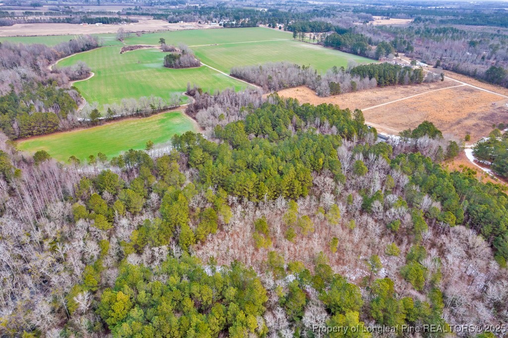0 Hunting Ridge Road Red Springs, NC 28377 - Photo 9 of 21 Gallery Image 9