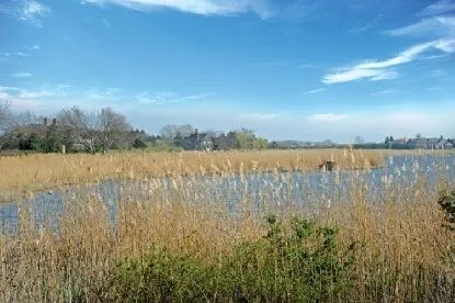 443 Sagaponack Road, Sagaponack, NY 11962